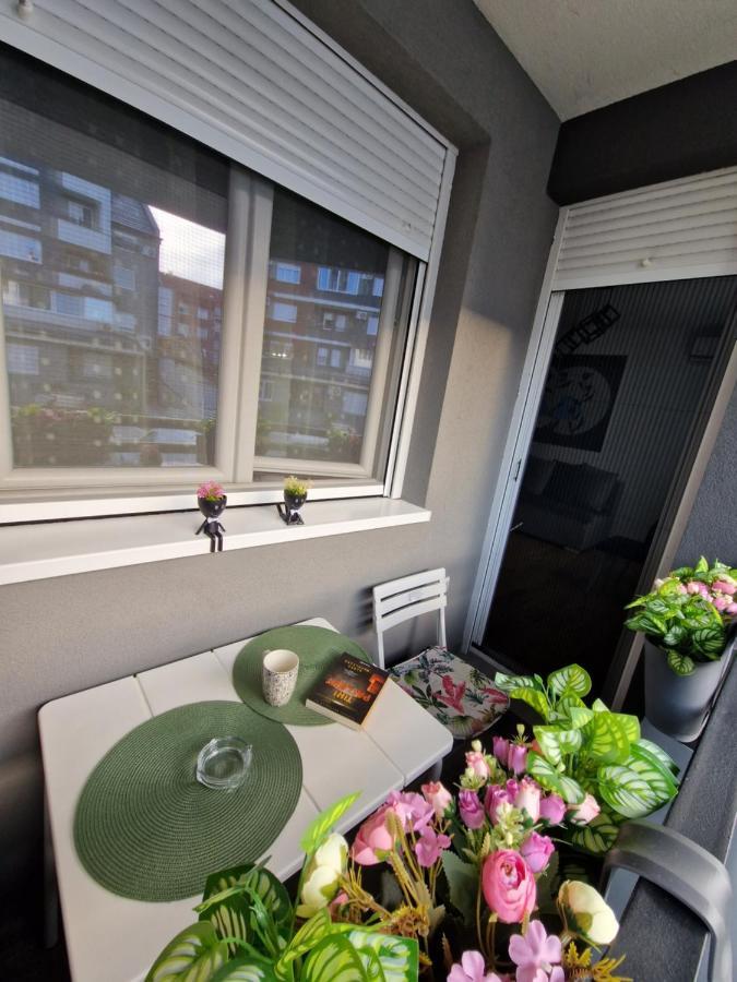 Apartman Astra Sremska Mitrovica Zewnętrze zdjęcie
